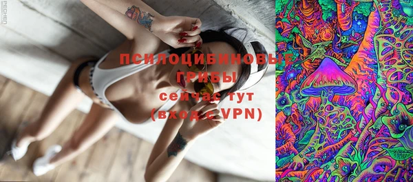метадон Алексин