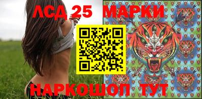 мяу мяу мука Владикавказ