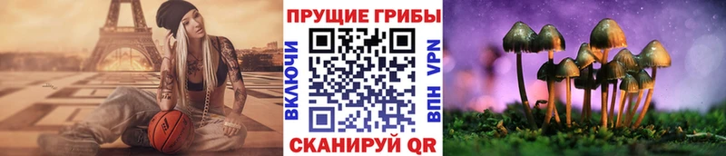 Галлюциногенные грибы MAGIC MUSHROOMS  где найти   Махачкала 