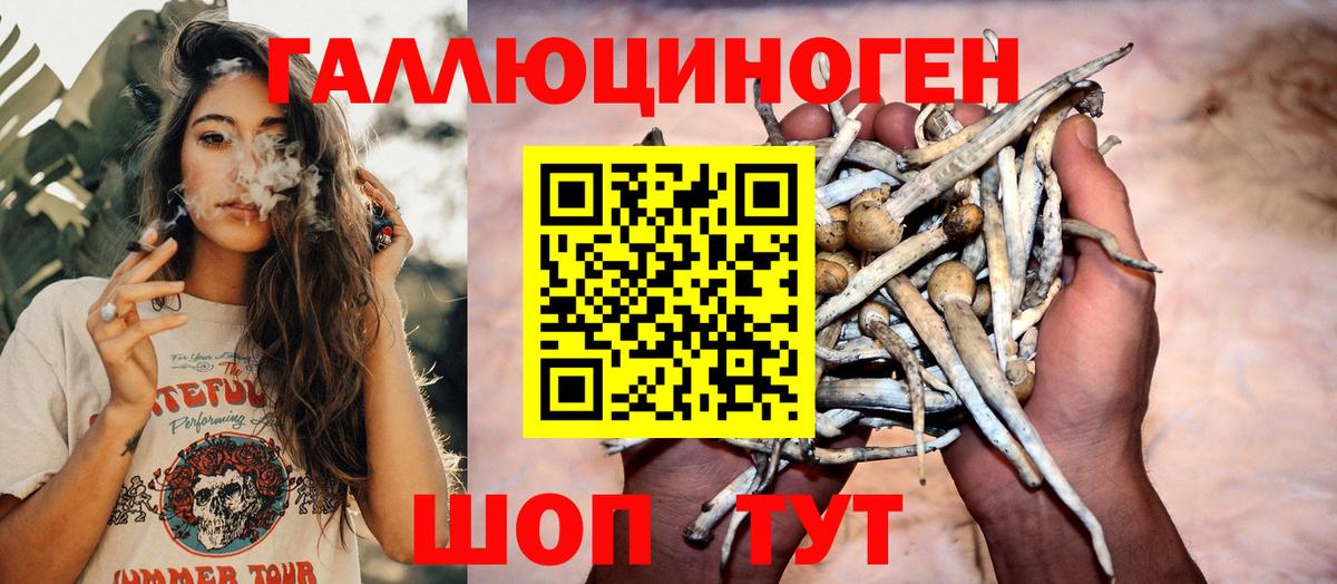 Махачкала  Псилоцибиновые грибы прущие грибы  Вход с VPN 